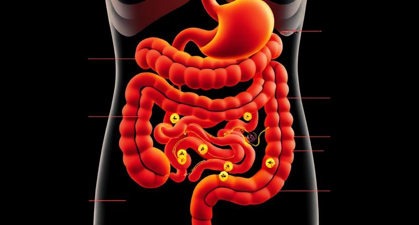 Discover the Best Fat Burning Peptide for Your 2025 Goals 7 331b47b6 a93b 4221 ae2b 59add20f4b13 Discover the Best Fat Burning Peptide for Your 2025 Goals