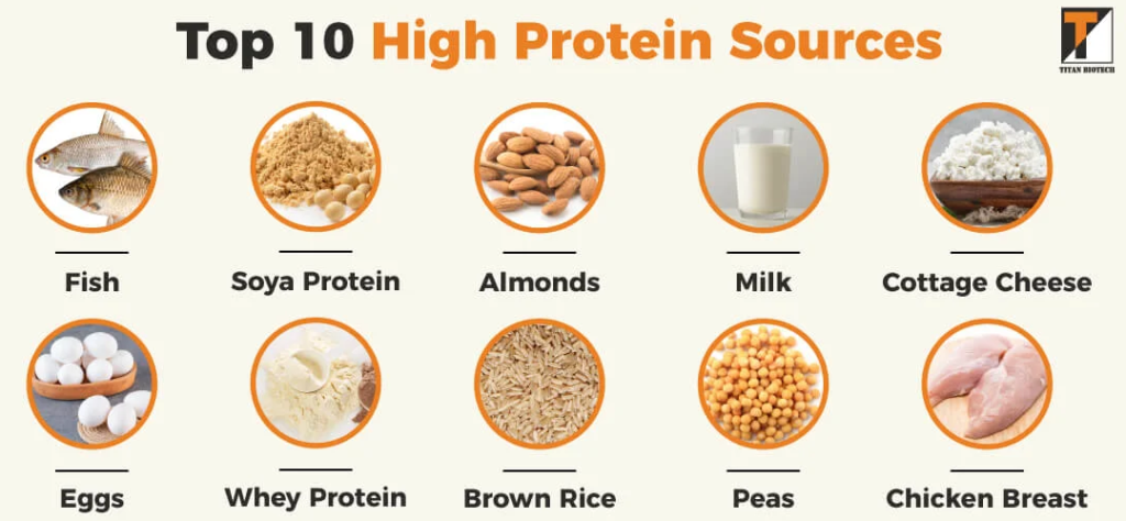 How Much Protein Do You Really Need? Daily Intake for Weight Loss & Muscle Gain. 4 top 10 high protein sources 1 How Much Protein Do You Really Need? Daily Intake for Weight Loss & Muscle Gain.